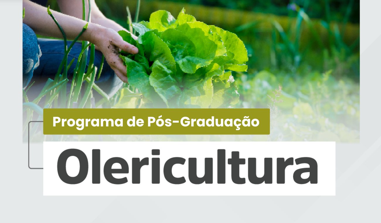 imagem sem descrição.